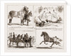 Tiie Horse Show At The Alexandra Park London UK 1873 by Anonymous