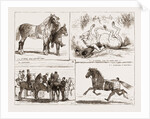 Tiie Horse Show At The Alexandra Park London UK 1873 by Anonymous