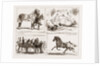 Tiie Horse Show At The Alexandra Park London UK 1873 by Anonymous