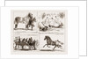 Tiie Horse Show At The Alexandra Park London UK 1873 by Anonymous