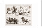Tiie Horse Show At The Alexandra Park London UK 1873 by Anonymous
