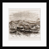 Burying-place Of The Kirghese by Anonymous