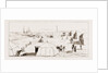 Encampment On The Kinderlinsky Gulf, East Coast Of Caspian Sea by Anonymous