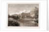 The Town Park by Anonymous