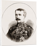 Major General Sir Garnet Wolseley, K.c.m.g. by Anonymous