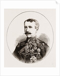 Major General Sir Garnet Wolseley, K.c.m.g. by Anonymous