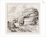Burgh Castle, Social Science Congress At Norwich UK 1873 by Anonymous