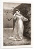 Good Morning By M.e. Edwards by Anonymous