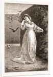 Good Morning By M.e. Edwards by Anonymous