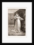 Good Morning By M.e. Edwards by Anonymous