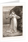 Good Morning By M.e. Edwards by Anonymous