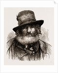 Italian Shepherd by Anonymous