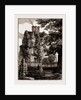 York UK 1873, Philosophical Gardens. by Anonymous