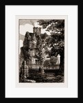 York UK 1873, Philosophical Gardens. by Anonymous