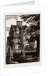 York UK 1873, Philosophical Gardens. by Anonymous