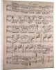 Handwritten sheet music, plus anime, ben marcato by Anonymous