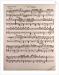 Handwritten sheet music, menuetto presto, amoroso, andante by Anonymous