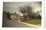 Village Green and Preaching Site in, Thorpe Street in the centre of the village by Sarah Smith