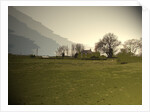 Grassland near Great Wilne by Sarah Smith