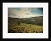 Deepclough and Valehouse Reservoir by Sarah Smith