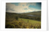 Deepclough and Valehouse Reservoir by Sarah Smith