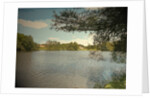The Lake in Locko Park by Sarah Smith