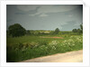 Summer Countryside viewed from Brun Lane by Sarah Smith