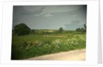 Summer Countryside viewed from Brun Lane by Sarah Smith