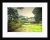 Gardens near Callow Hall by Sarah Smith