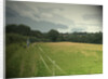 Public Footpath near Risley by Sarah Smith