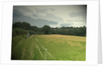 Public Footpath near Risley by Sarah Smith