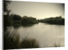 Pond near Moorway Lane by Sarah Smith
