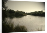 Pond near Moorway Lane by Sarah Smith