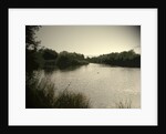 Pond near Moorway Lane by Sarah Smith
