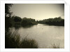 Pond near Moorway Lane by Sarah Smith