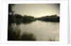 Pond near Moorway Lane by Sarah Smith