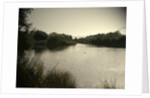 Pond near Moorway Lane by Sarah Smith