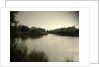 Pond near Moorway Lane by Sarah Smith