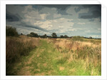 Path near Leasaws Farm by Sarah Smith