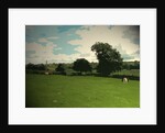 Farmland near Ashbourne by Sarah Smith