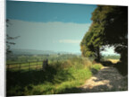 Track and Byway on Madge Hill by Sarah Smith