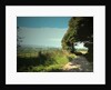 Track and Byway on Madge Hill by Sarah Smith