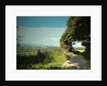 Track and Byway on Madge Hill by Sarah Smith