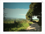 Track and Byway on Madge Hill by Sarah Smith