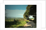 Track and Byway on Madge Hill by Sarah Smith