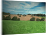 Farmland near Osmaston by Sarah Smith