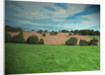 Farmland near Osmaston by Sarah Smith