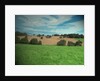 Farmland near Osmaston by Sarah Smith