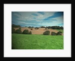Farmland near Osmaston by Sarah Smith