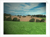 Farmland near Osmaston by Sarah Smith